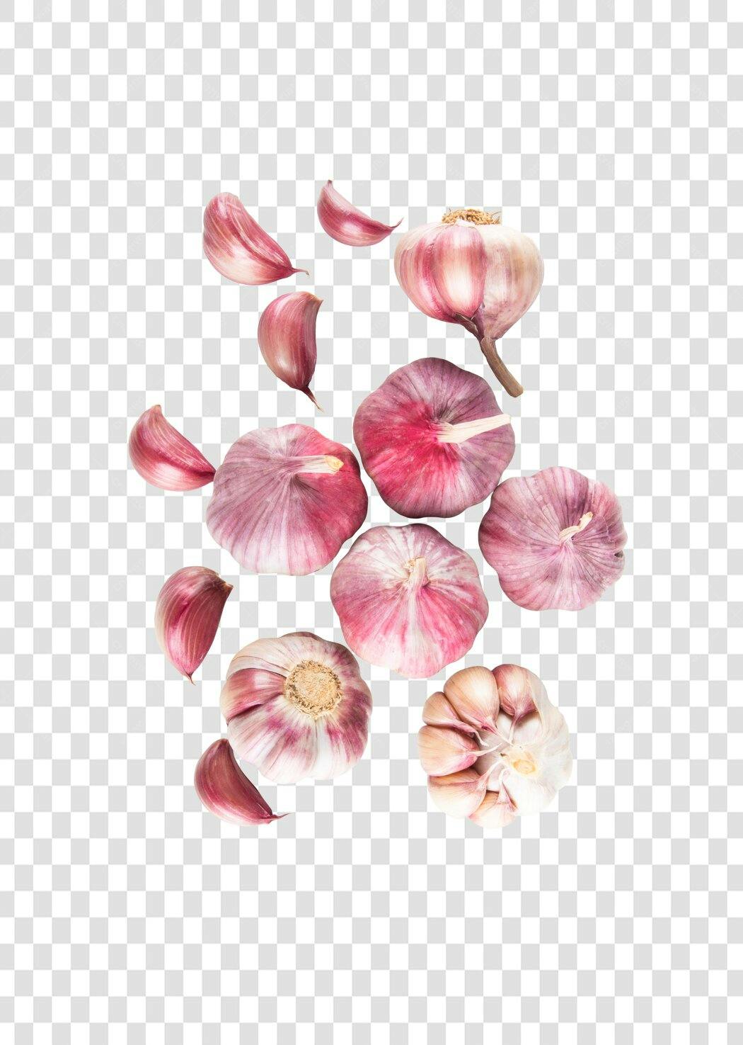 Imagem de Alho Branco e Roxo para Culinária PNG com fundo transparente