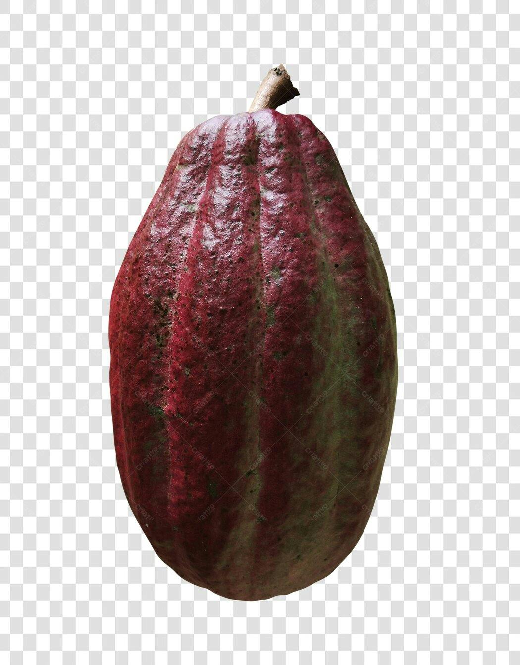 Elemento gráfico de Cacau Fruta Vermelha e Verde PNG com fundo transparente