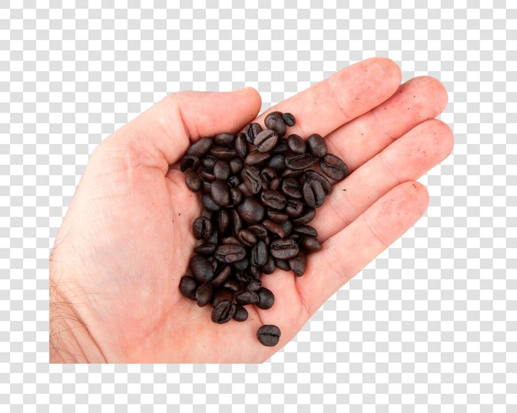 Foto de Mão segurando grãos de café torrado PNG com fundo transparente