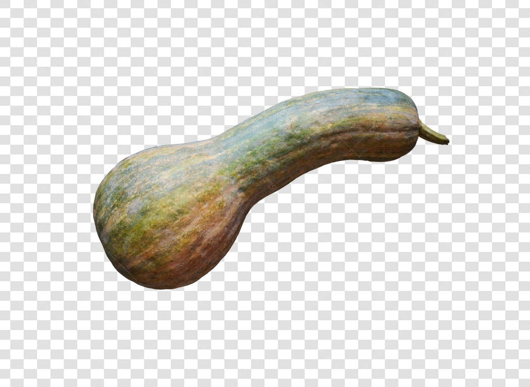 Legume Abóbora Cabaça Longa Verde Marrom PNG com fundo transparente