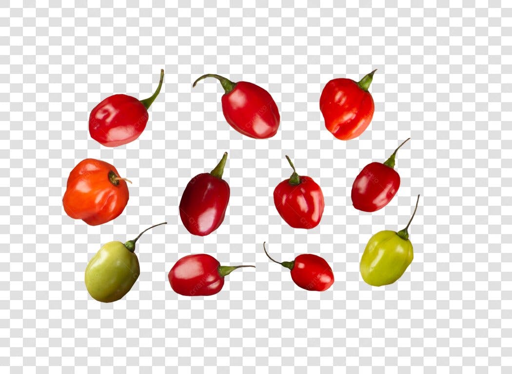 Elementos de Design Pimentas Variadas Vermelhas Laranjas Verdes PNG com fundo transparente