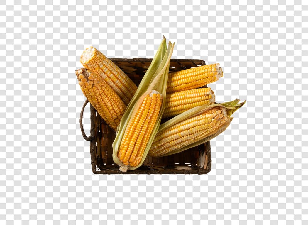 Cesta de Milho Amarelo para Colheita Outono PNG com fundo transparente