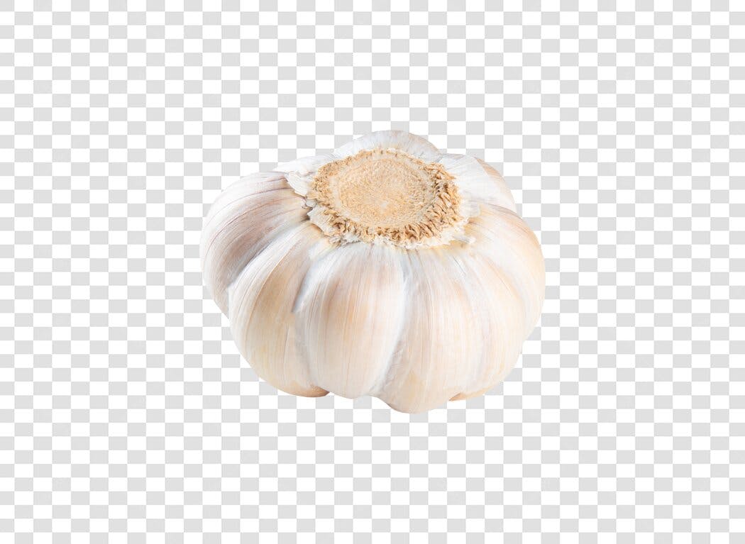 Alho inteiro fresco para receita e culinária PNG com fundo transparente