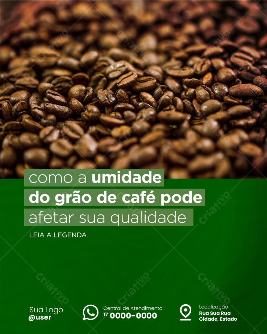 Flyer Café Umidade Grão Qualidade PSD Editável