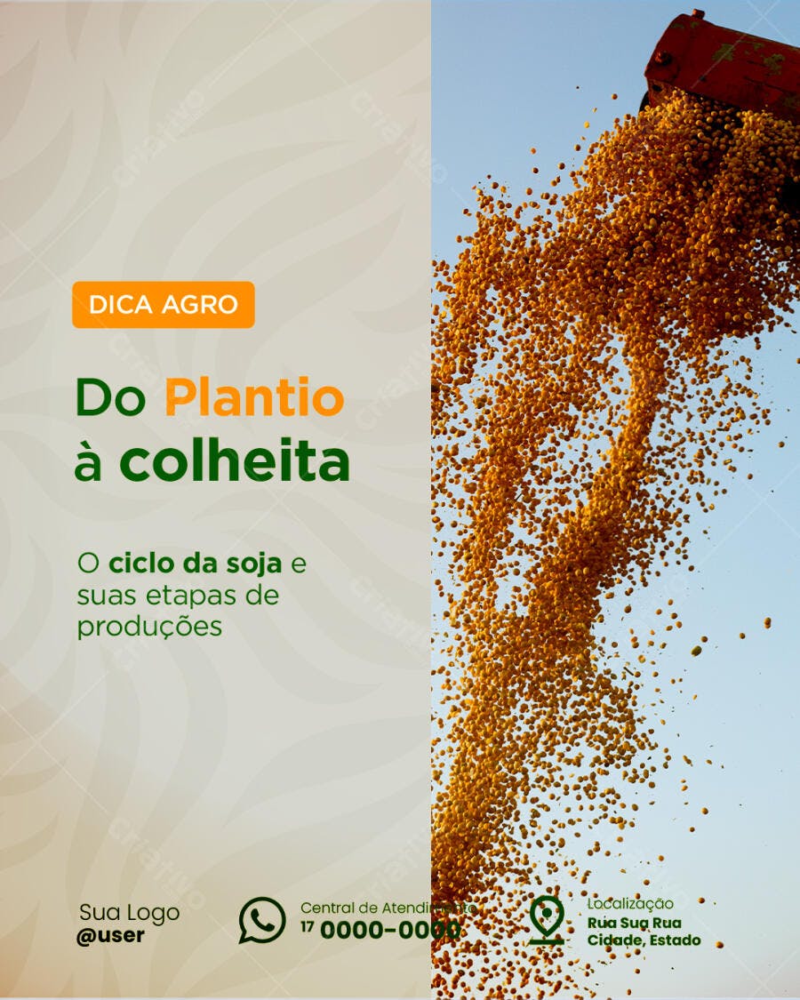 Flyer Agronegócio Ciclo da Soja e Colheita PSD Editável