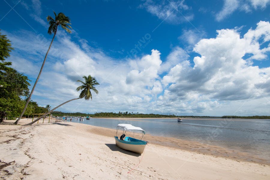Praia tropical areia branca barco palmeiras rio sob céu azul vibrante