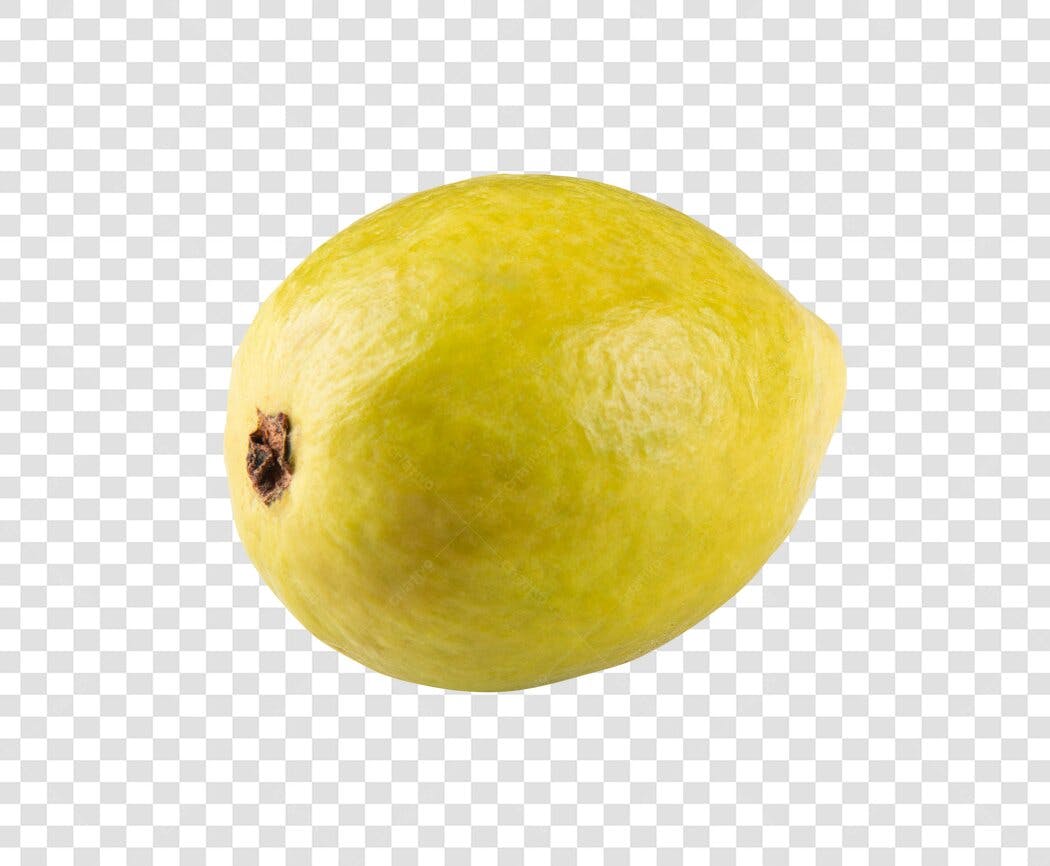 Elemento Gráfico Fruta Goiaba Amarela Fresca PNG com fundo transparente
