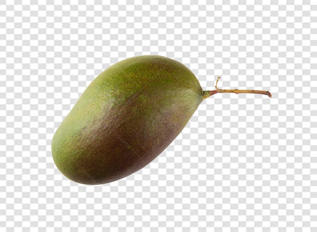Elemento gráfico Manga Verde com Ramo PNG com fundo transparente