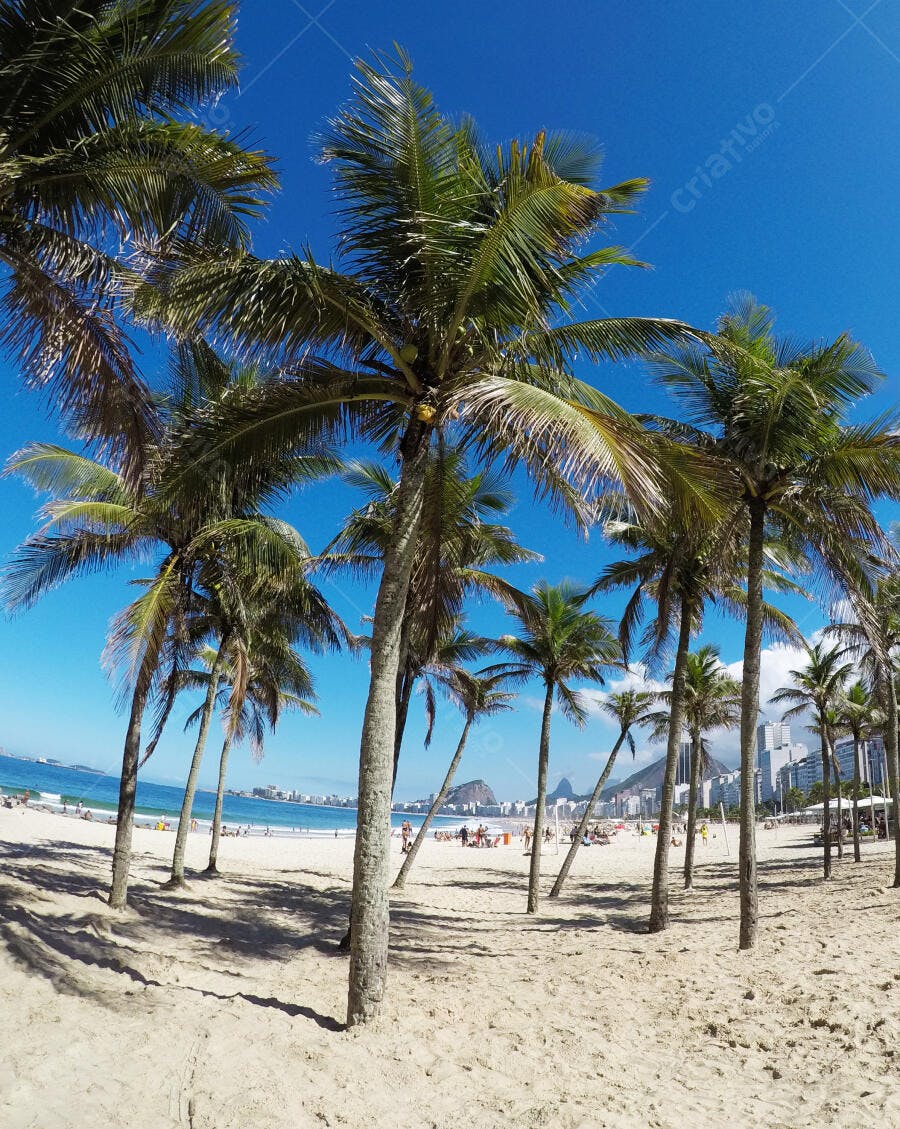 Palmeiras tropicais na praia de Copacabana Rio de Janeiro céu azul