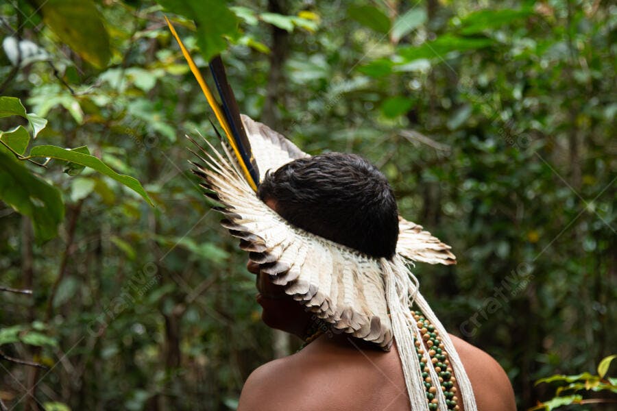 Indígena com cocar de penas brancas e amarelas na floresta amazônica