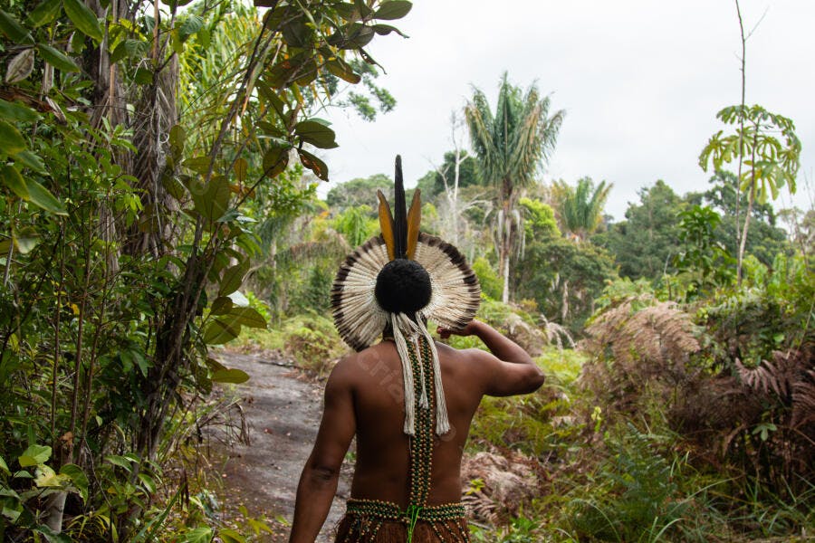 Homem indígena de cocar e vestes tradicionais caminhando na floresta amazônica