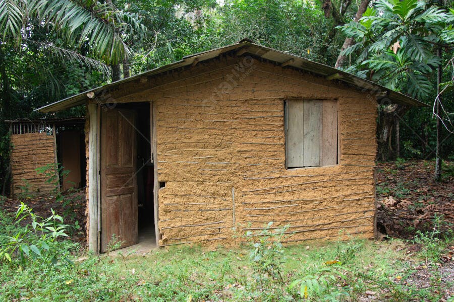 Casa rústica de taipa em floresta tropical densa com porta de madeira aberta