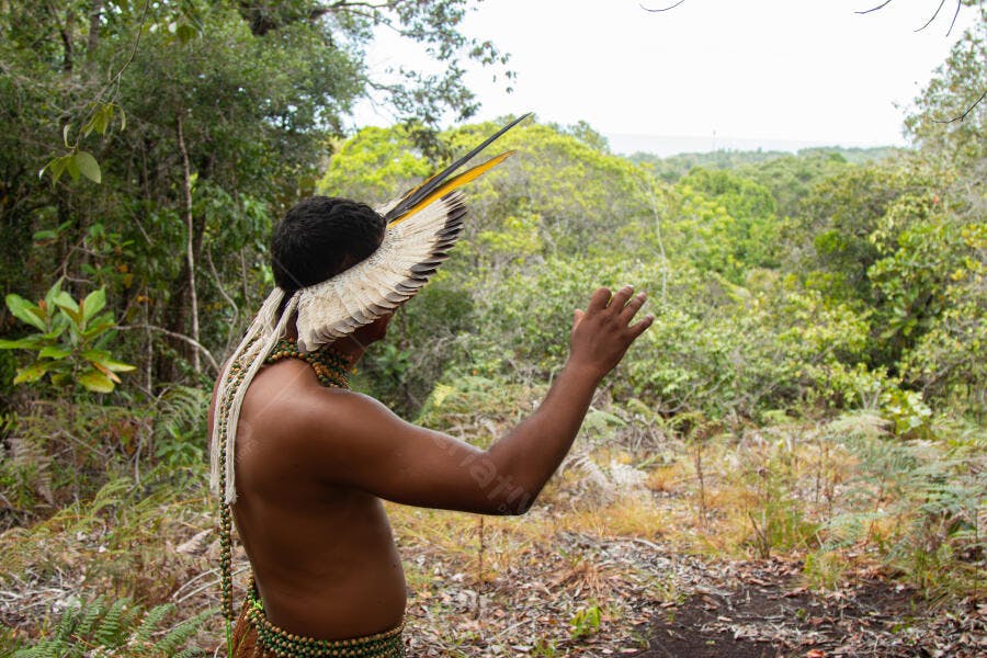 Homem indígena com cocar de penas brancas e amarelas na floresta tropical
