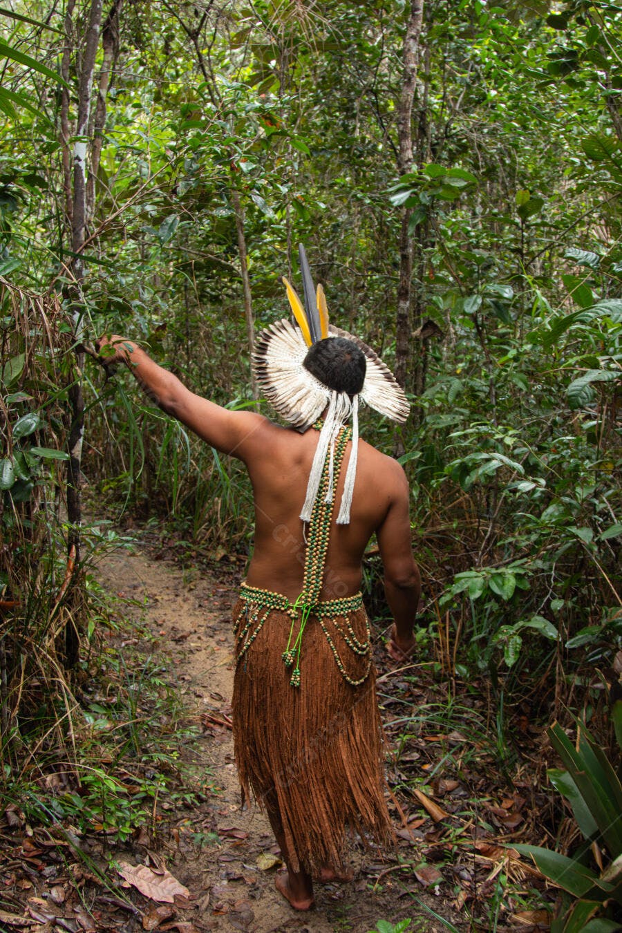 Homem indígena com cocar na floresta amazônica trilha verde exuberante