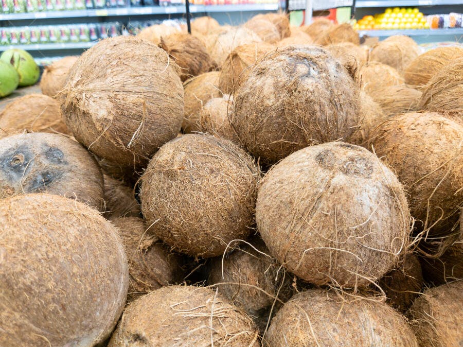 Cocos marrons fibrosos em pilha no mercado de frutas frescas