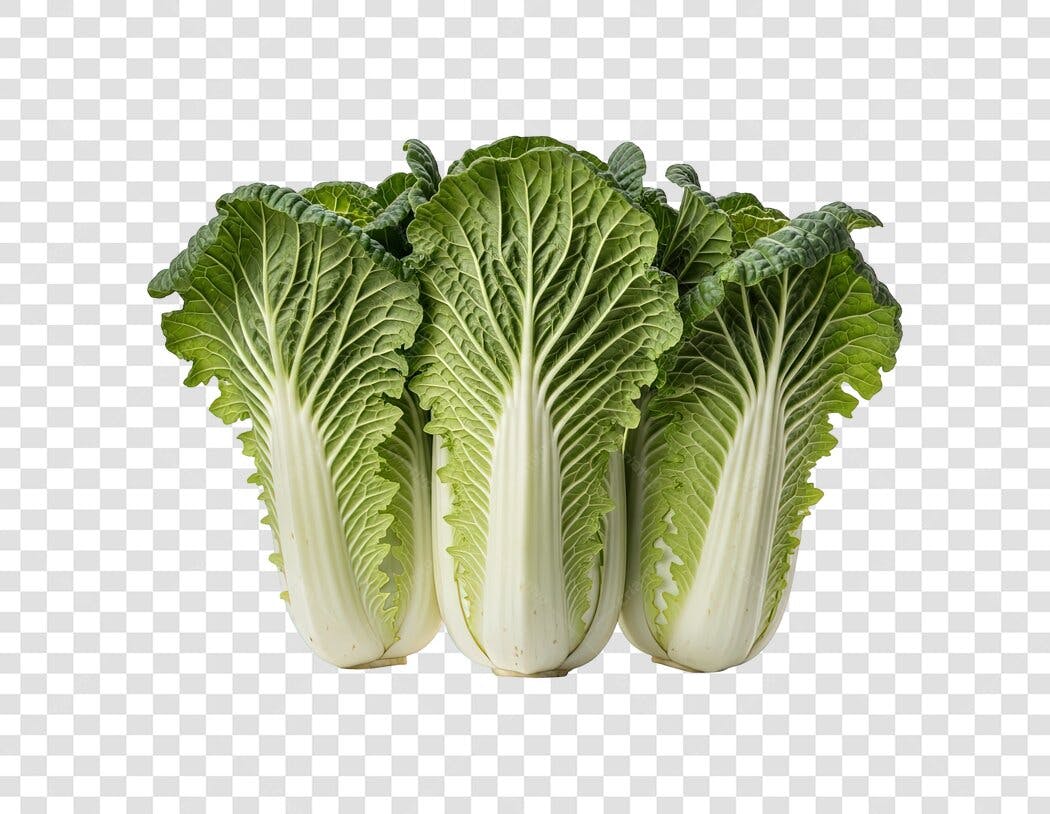 Vegetal Repolho Chinês Fresco Verde PNG com fundo transparente