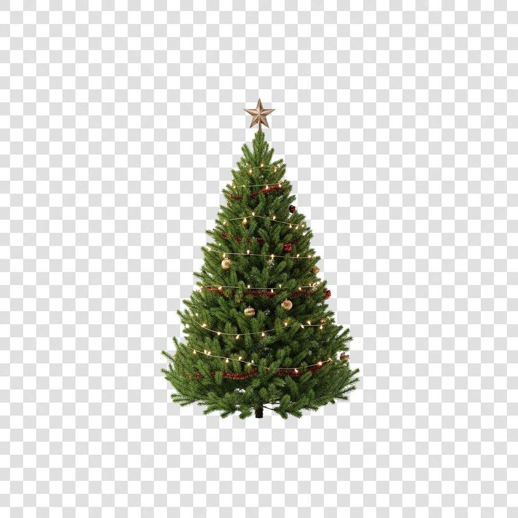 Árvore de Natal com estrela e luzes para feriados PNG com fundo transparente