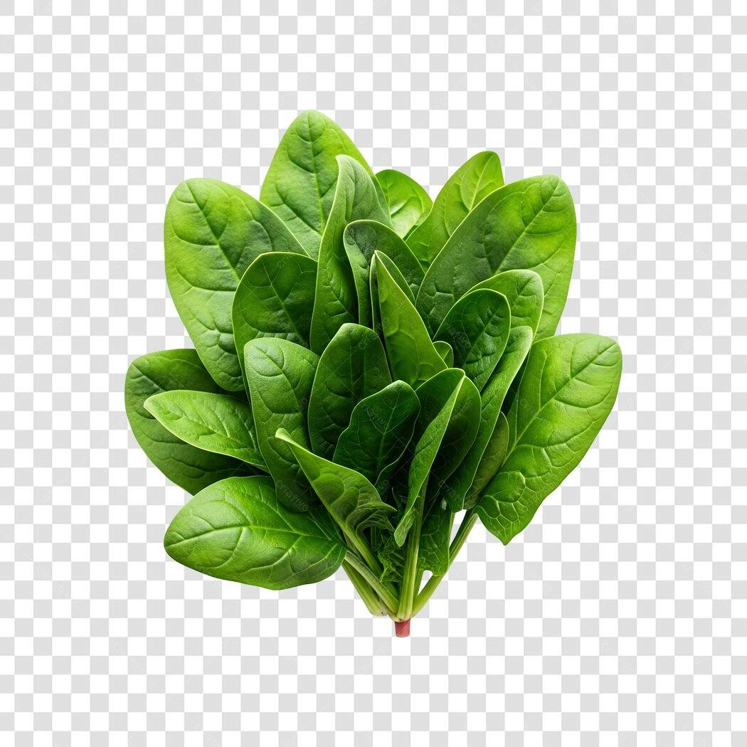 Elemento gráfico Espinafre Fresco Verde para Culinária Saudável PNG com fundo transparente