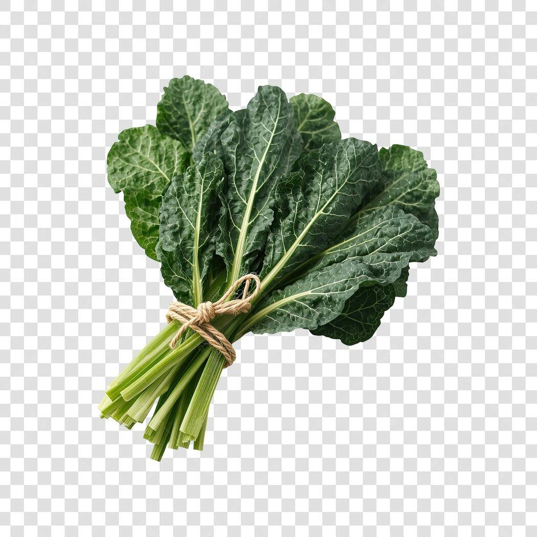 Vegetal Couve Kale Fresca Orgânica PNG com fundo transparente