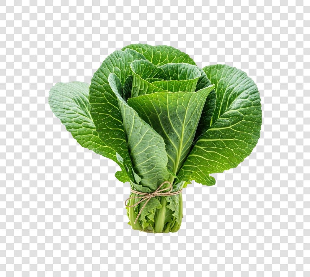 Couve Manteiga Fresca Verde PNG com fundo transparente