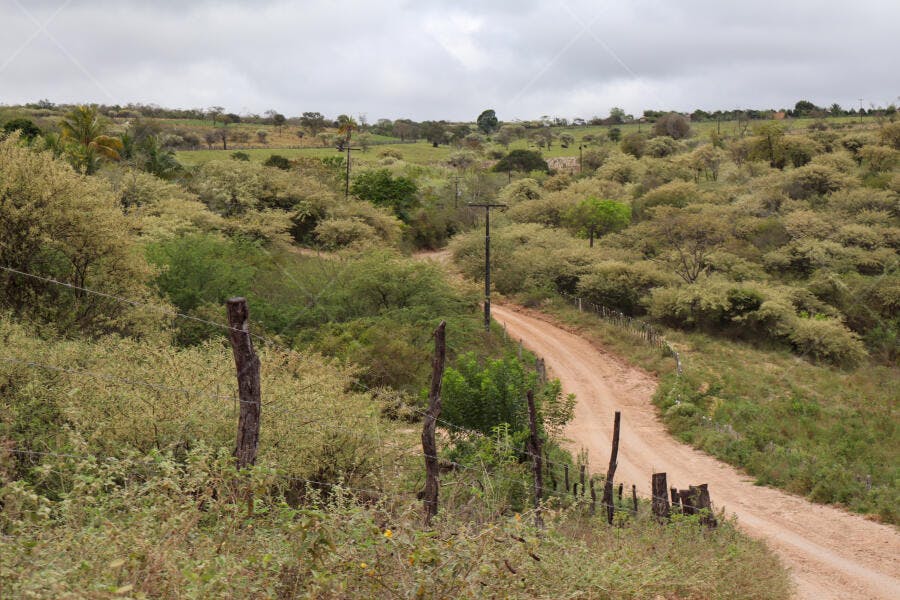 Estrada de terra sinuosa em paisagem rural com vegetação e céu nublado