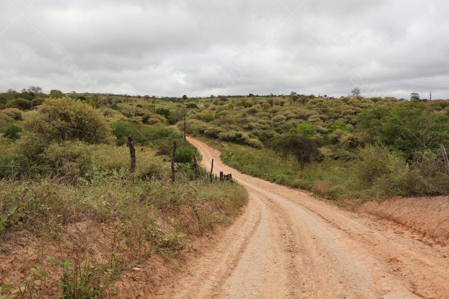 Estrada de terra marrom em paisagem rural verde sob céu nublado