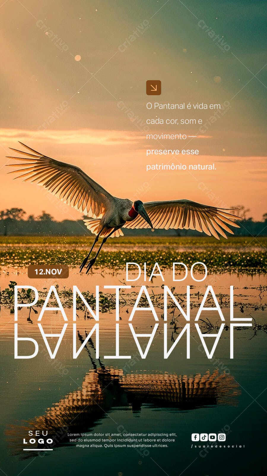 Post para Redes Sociais Dia do Pantanal PSD Editável