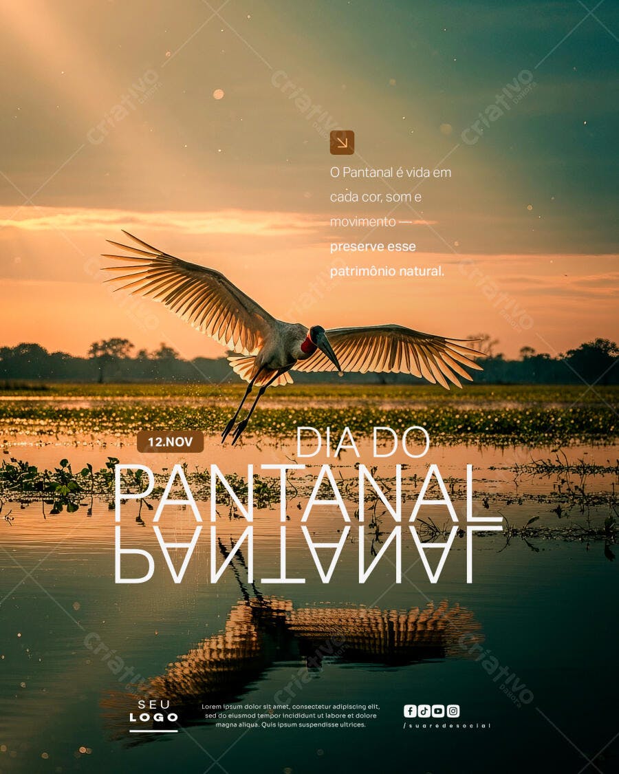 Flyer Dia do Pantanal com Jaburu em Voo PSD Editável