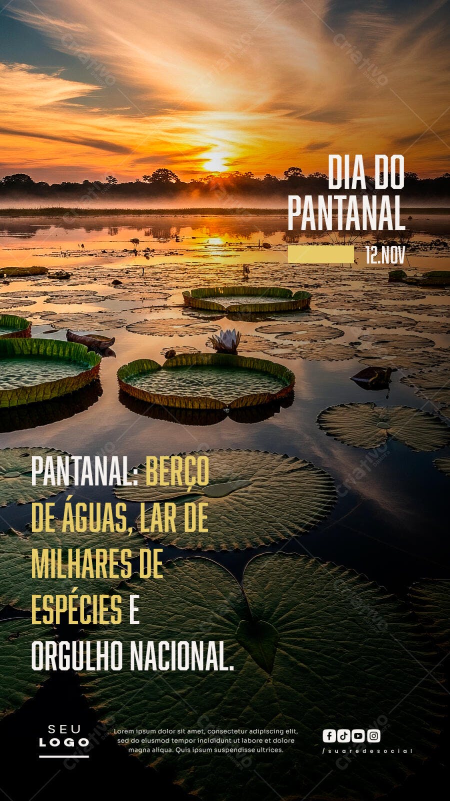 Flyer Dia do Pantanal Pôr do Sol Natureza Vitória Régia PSD Editável