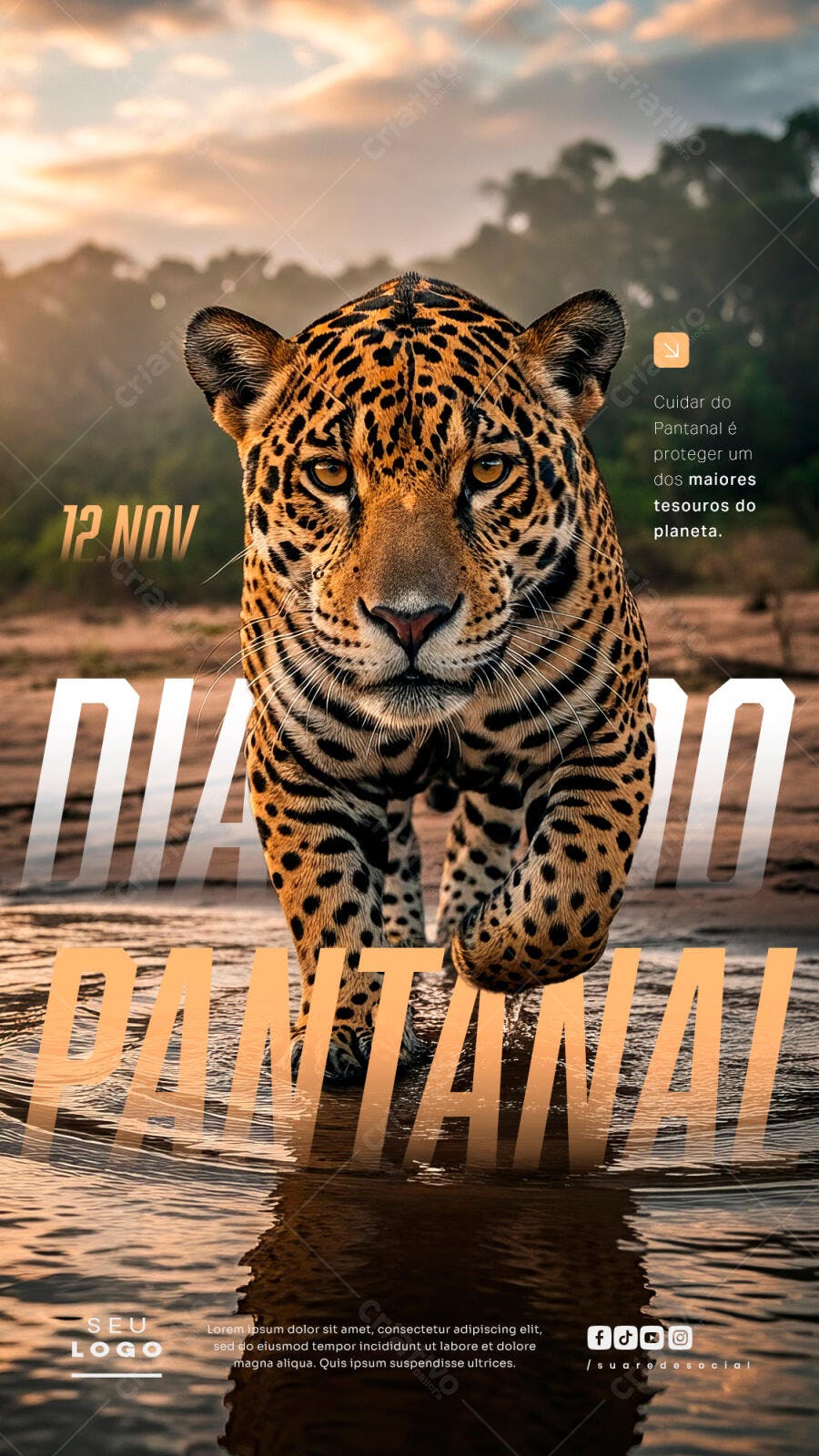 Flyer Social Mídia Dia do Pantanal com Onça-Pintada PSD Editável