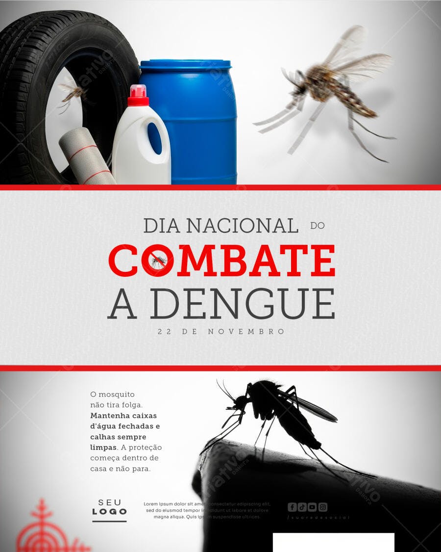 Flyer Dia Nacional Combate Dengue Mosquito Pneu Barril Psd Editável