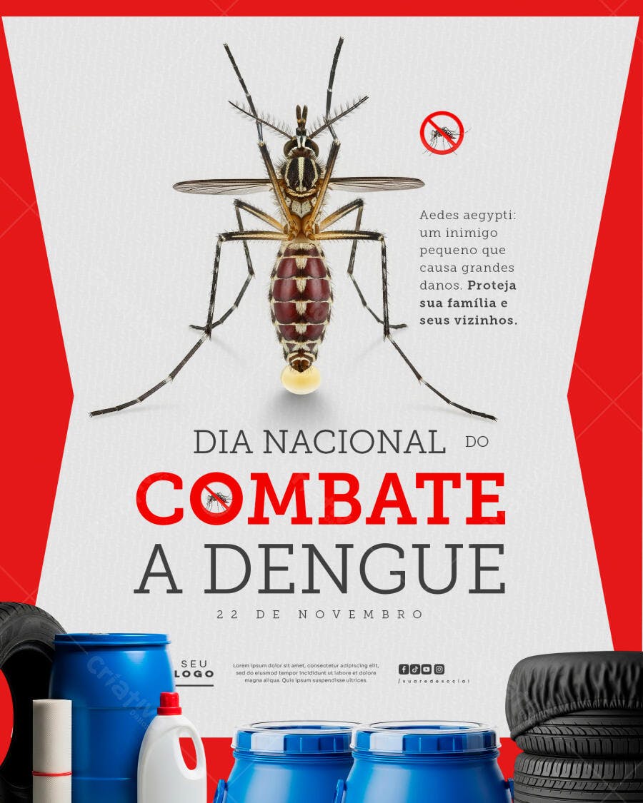 Flyer Dia Nacional Combate a Dengue Aedes aegypti PSD Editável