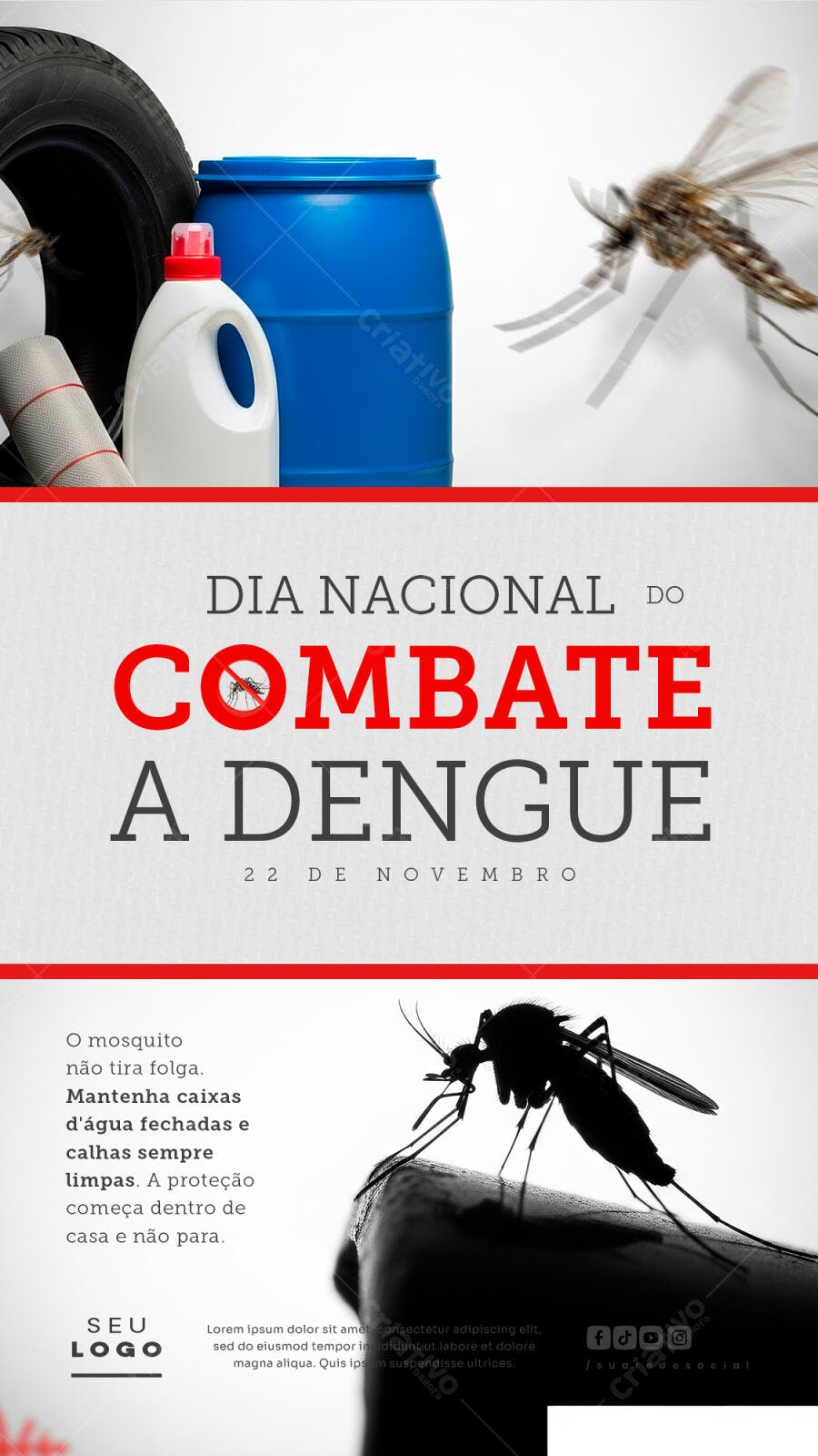 Flyer Dia Nacional do Combate à Dengue PSD Editável