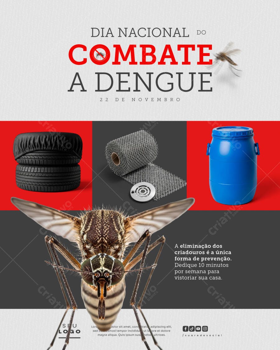Flyer Combate à Dengue e Criadores PSD Editável
