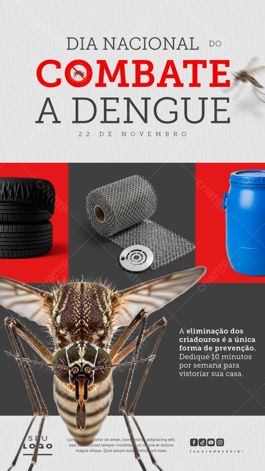 Flyer Combate à Dengue Aedes Aegypti Criadouros PSD Editável