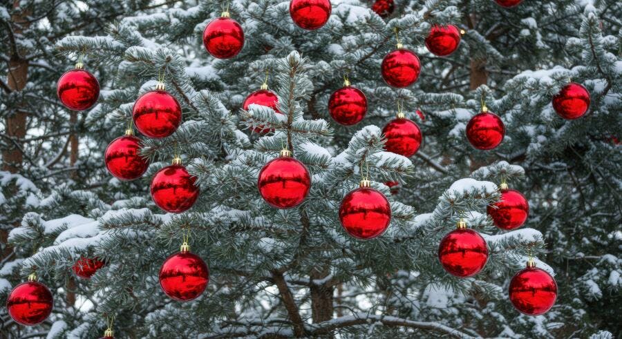 Árvore de Natal pinheiro coberto de neve com enfeites vermelhos de inverno