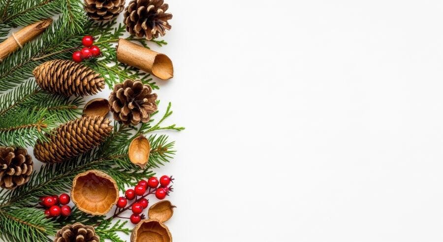 Decoração natalina com pinhas ramos verdes e frutos vermelhos em fundo branco