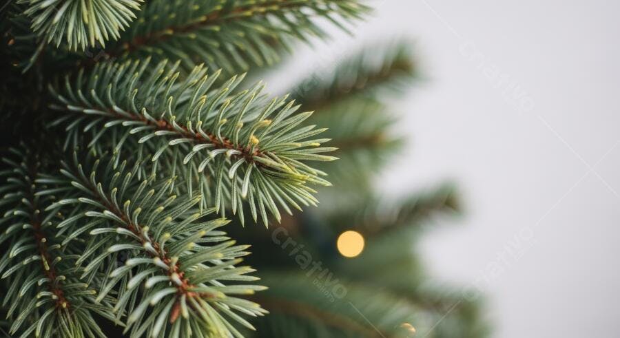 Pinheiro verde galho com luzes de Natal e fundo desfocado
