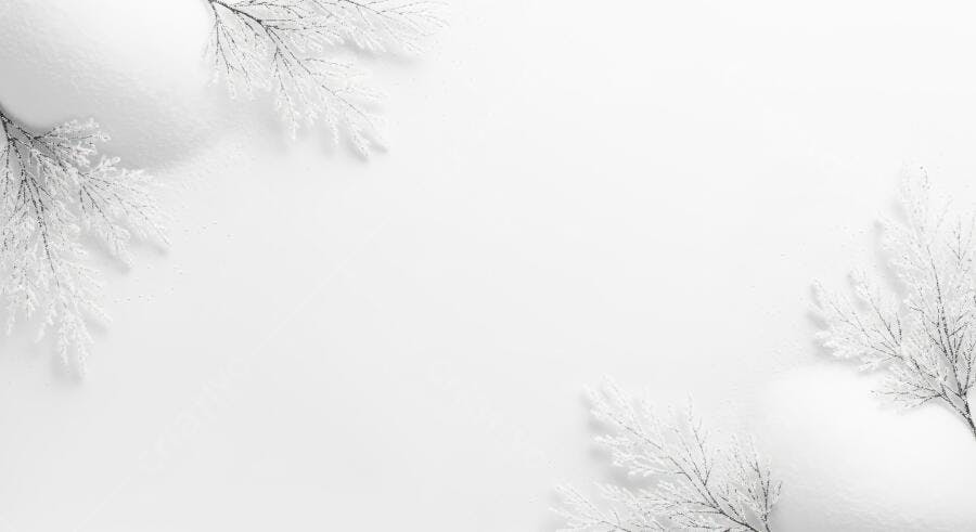 Galhos de inverno cobertos de neve em fundo branco minimalista para férias