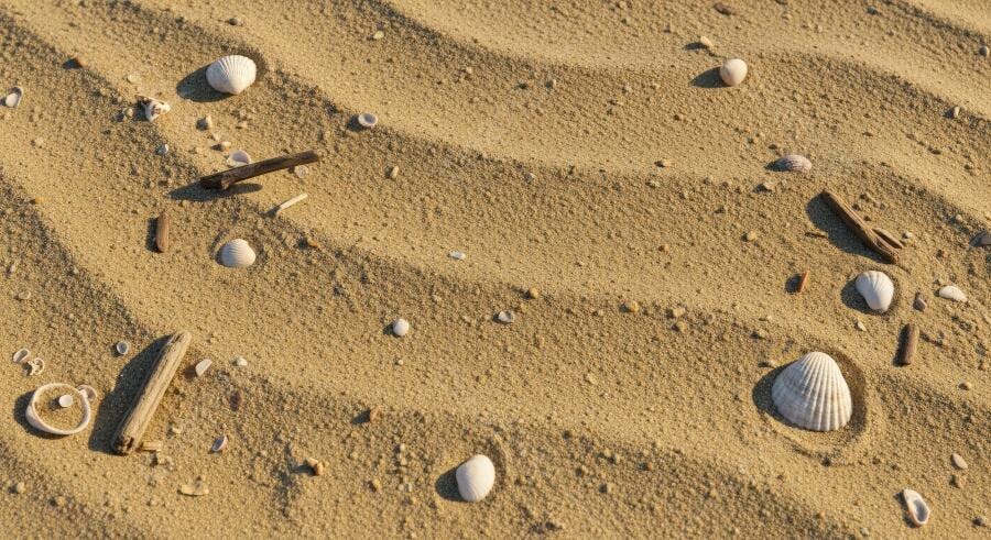 Textura areia de praia dourada com conchas e madeira para fundo