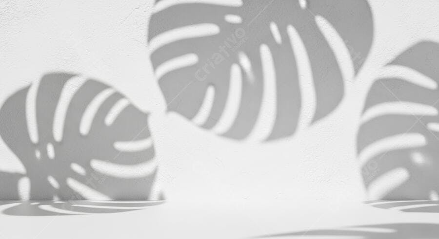 Textura sombra de folha Monstera em parede branca para cenário minimalista