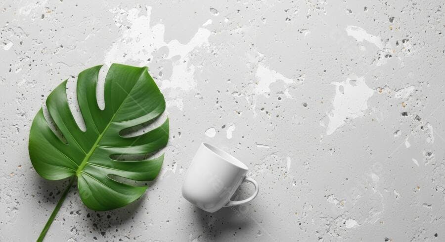 Folha de Monstera e caneca branca sobre fundo cinza texturizado