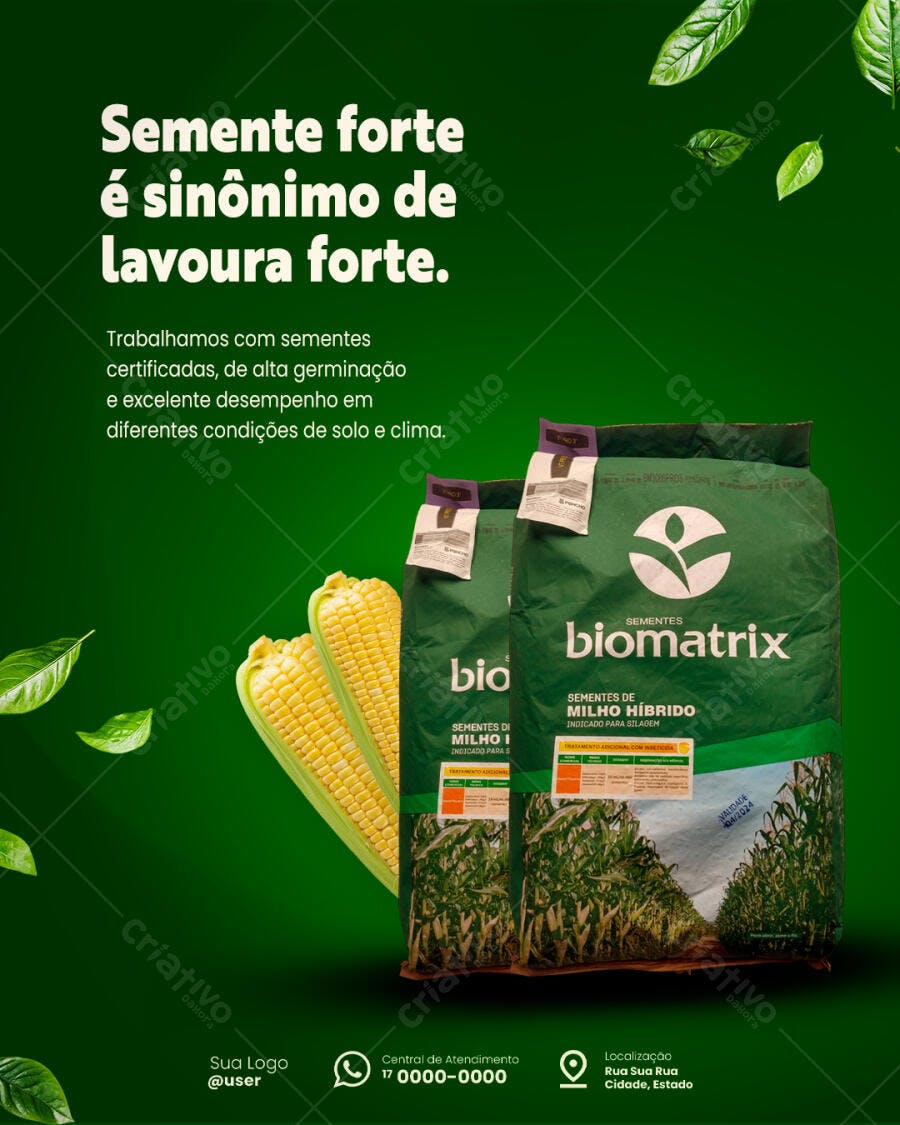 Flyer para Sementes de Milho Híbrido Biomatrix PSD Editável