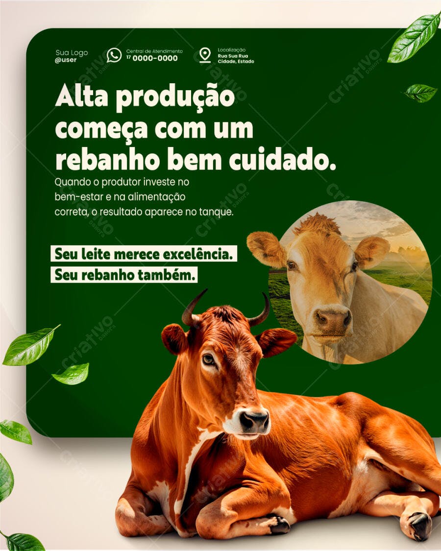 Flyer para Pecuária Leiteira e Gado Marrom PSD Editável