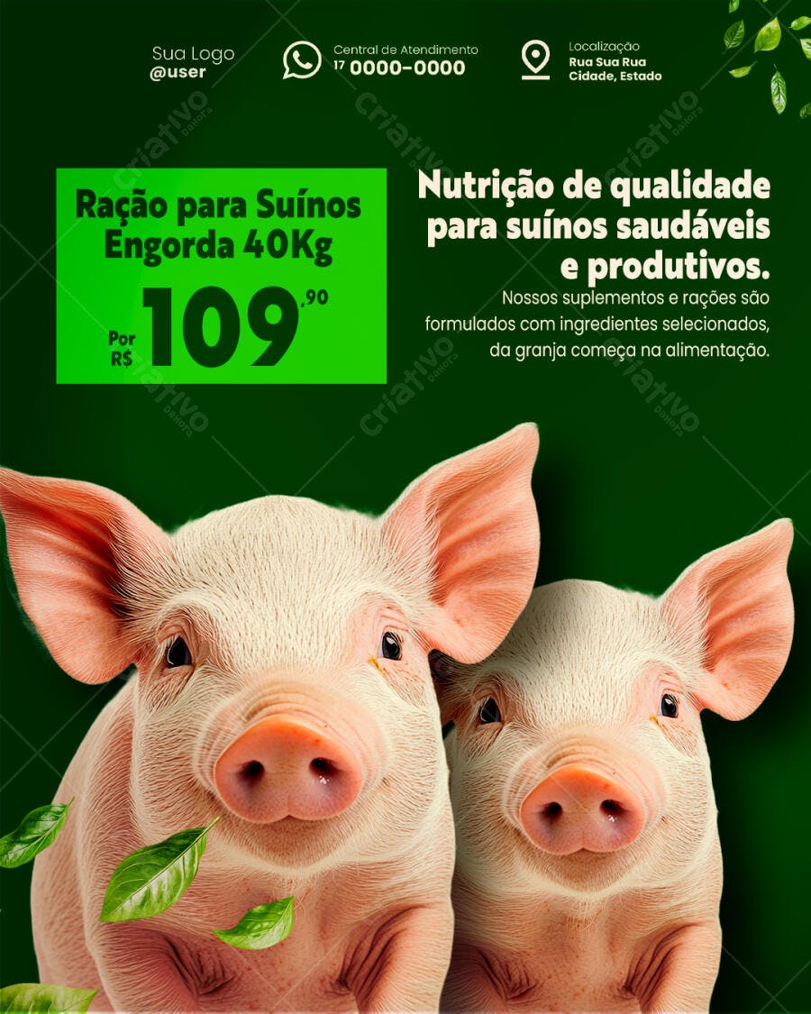 Flyer Ração para Suínos Engorda 40Kg PSD Editável