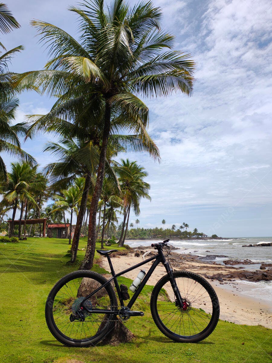 Bicicleta de montanha preta na praia tropical com palmeiras e céu azul