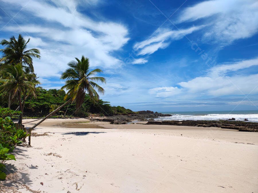 Praia com coqueiros areia branca rochas mar azul e céu claro