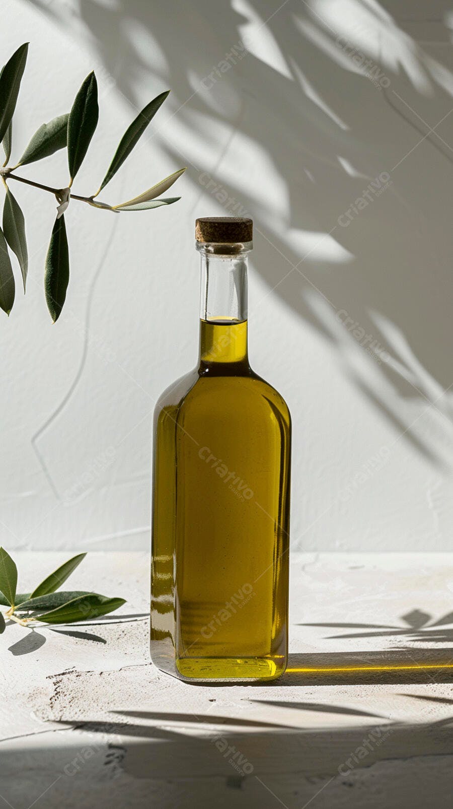 Foto Garrafa Azeite de Oliva Ramo de Oliveira Luz Natural