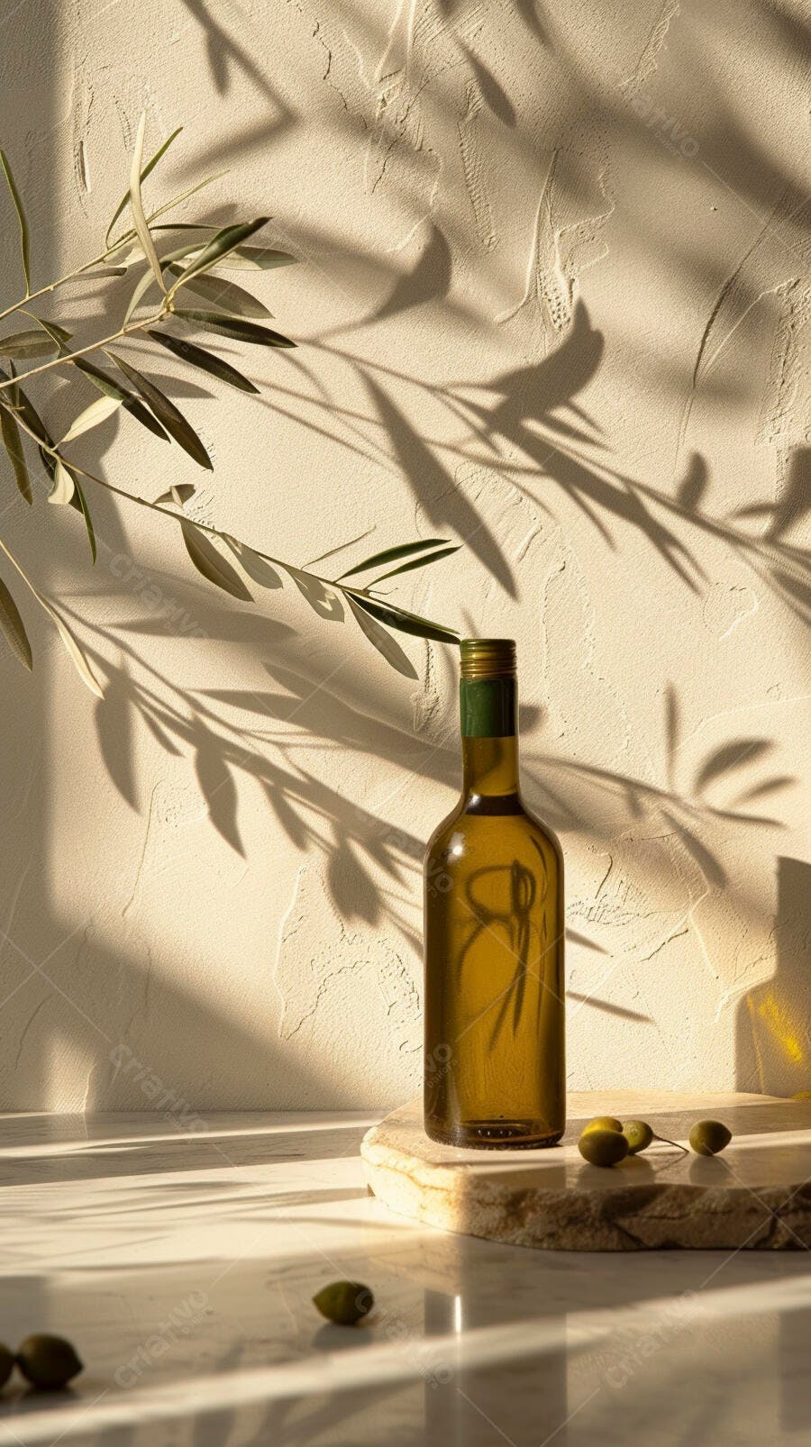 Foto Garrafa Azeite Olivas Ramo Oliveira Luz Natural