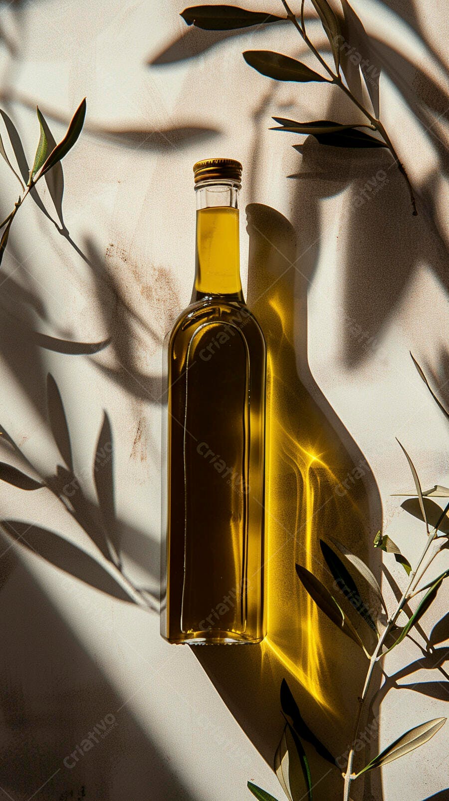 Foto Garrafa de Azeite de Oliva com Galhos e Sombras Naturais